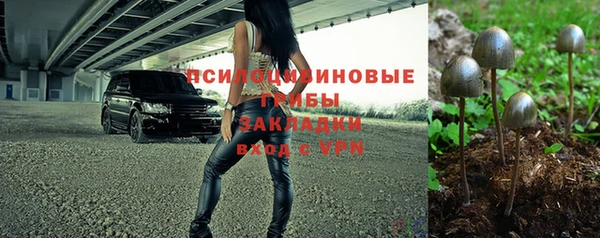 не бодяженный Белокуриха