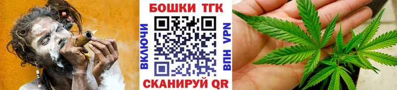 мориарти официальный сайт Дагестанские Огни Бошки марихуана THC 21%
